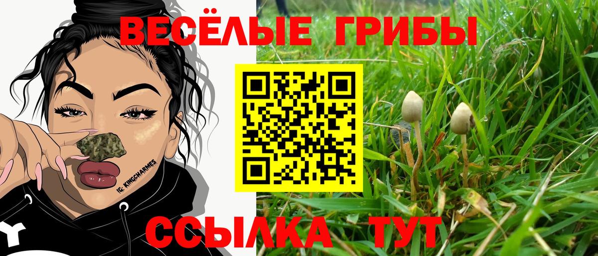 Галлюциногенные грибы прущие грибы Краснознаменск