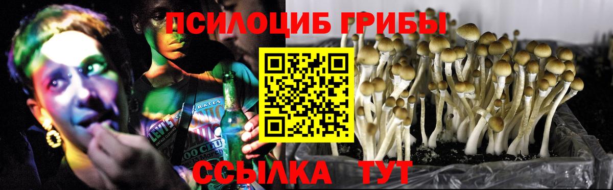 купить наркотик  Галлюциногенные грибы ЛСД  Вход с VPN  Краснознаменск 